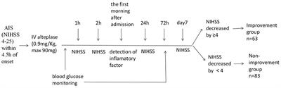 Correlation Between Blood Glucose Variability and Early Therapeutic Effects After Intravenous Thrombolysis With Alteplase and Levels of Serum Inflammatory Factors in Patients With Acute Ischemic Stroke